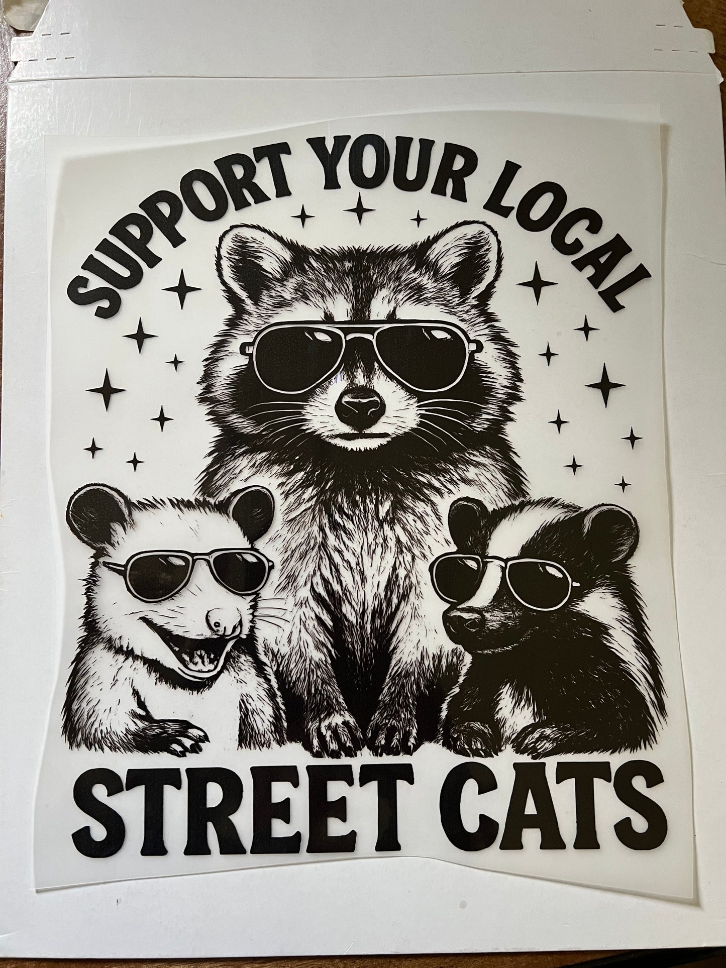 Street Cats