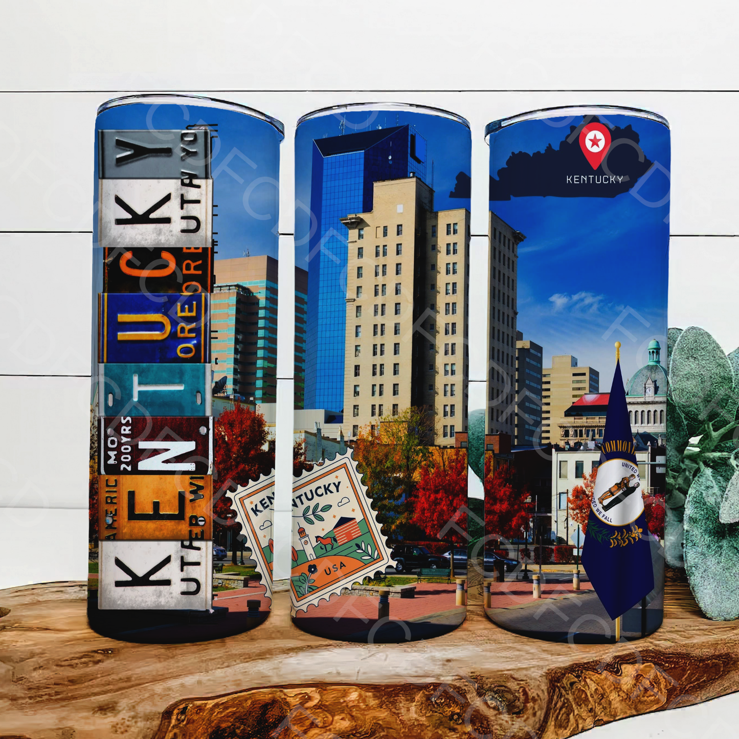 STATE LICENSE PLATES