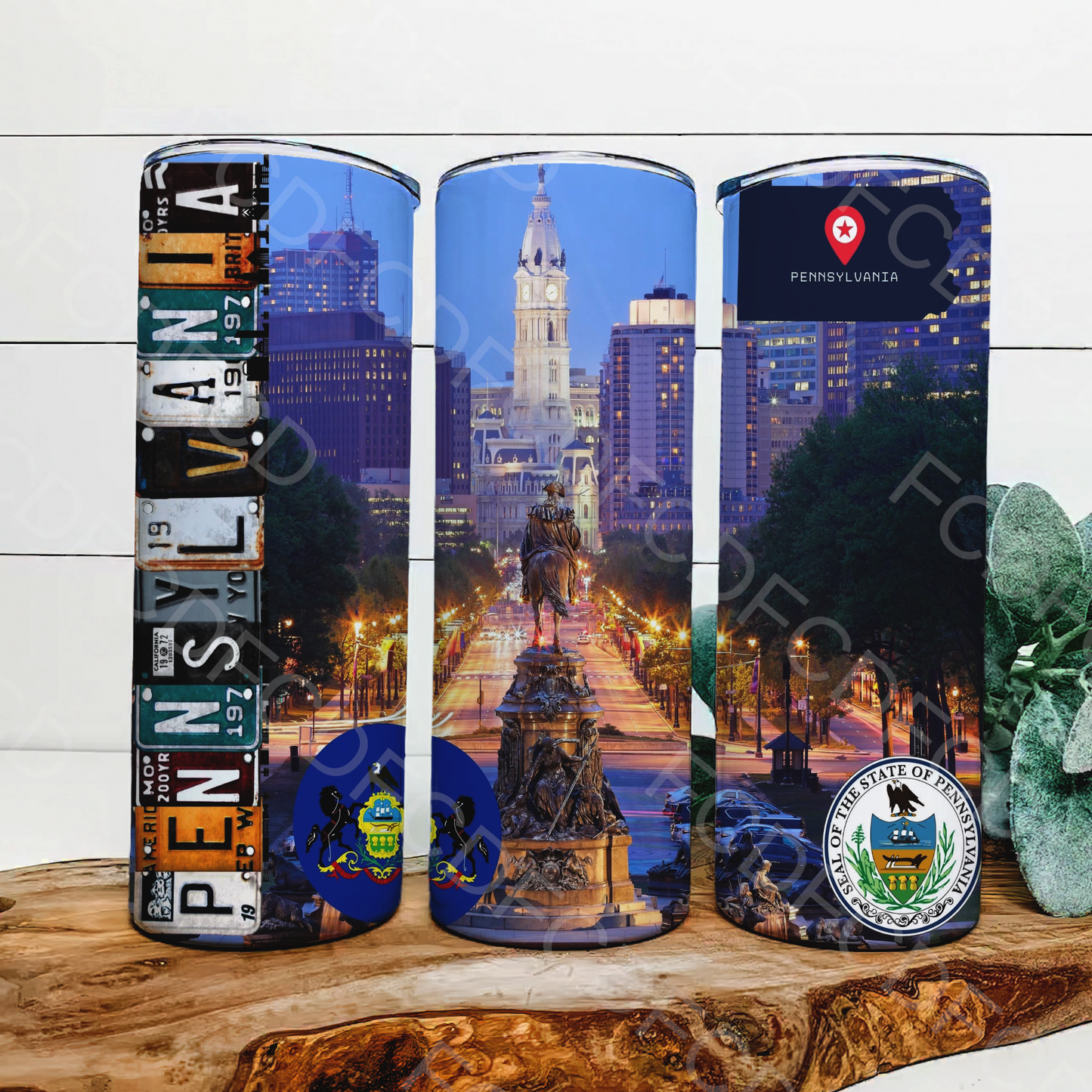 STATE LICENSE PLATES