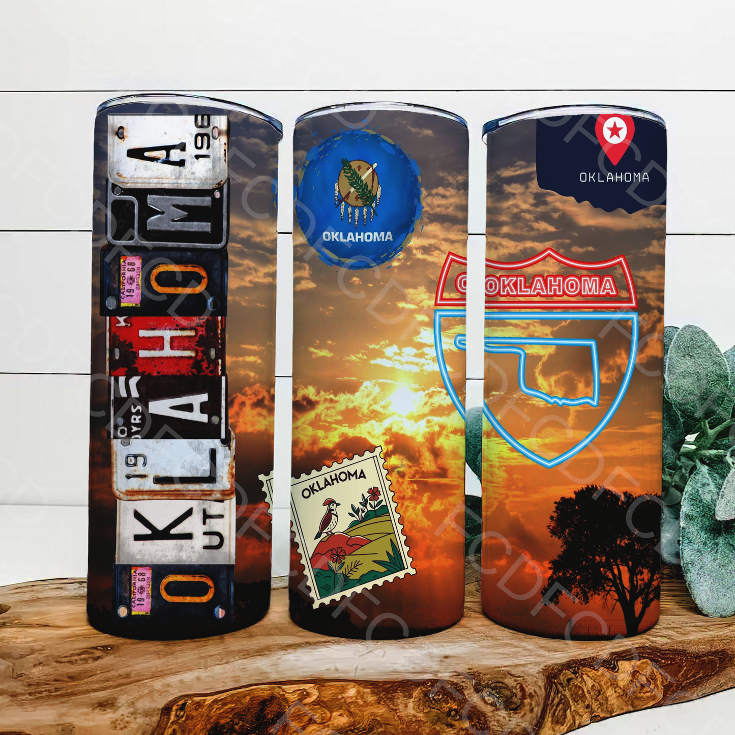 STATE LICENSE PLATES