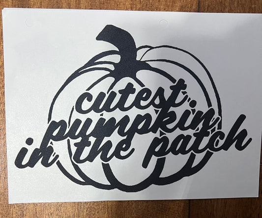 Cutest Pumpkin