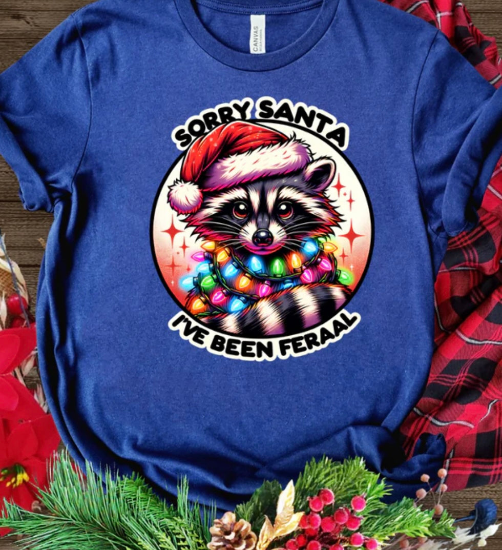 Xmas Coon