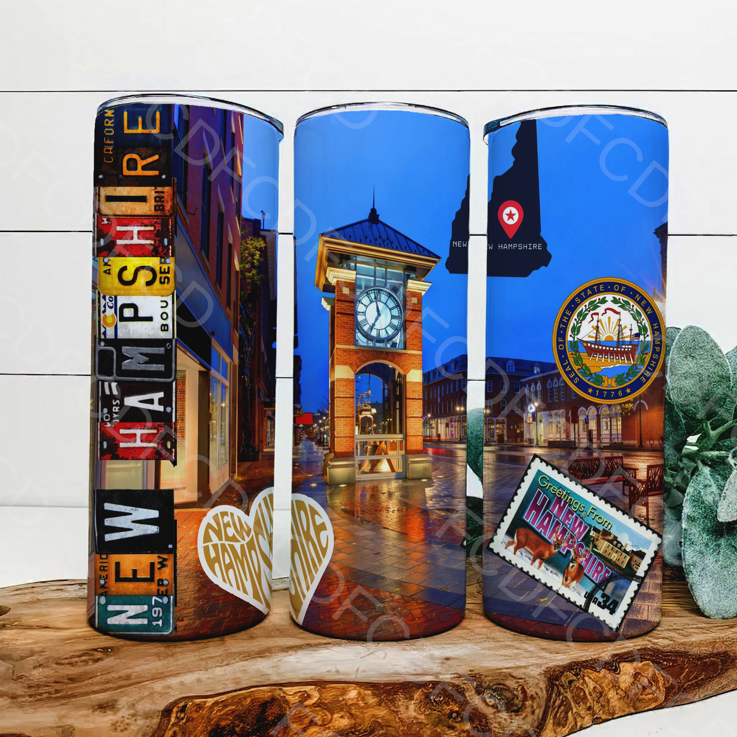 STATE LICENSE PLATES