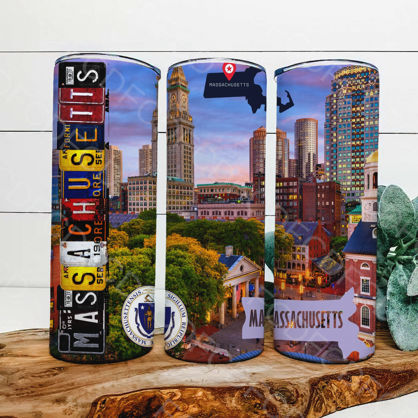 STATE LICENSE PLATES