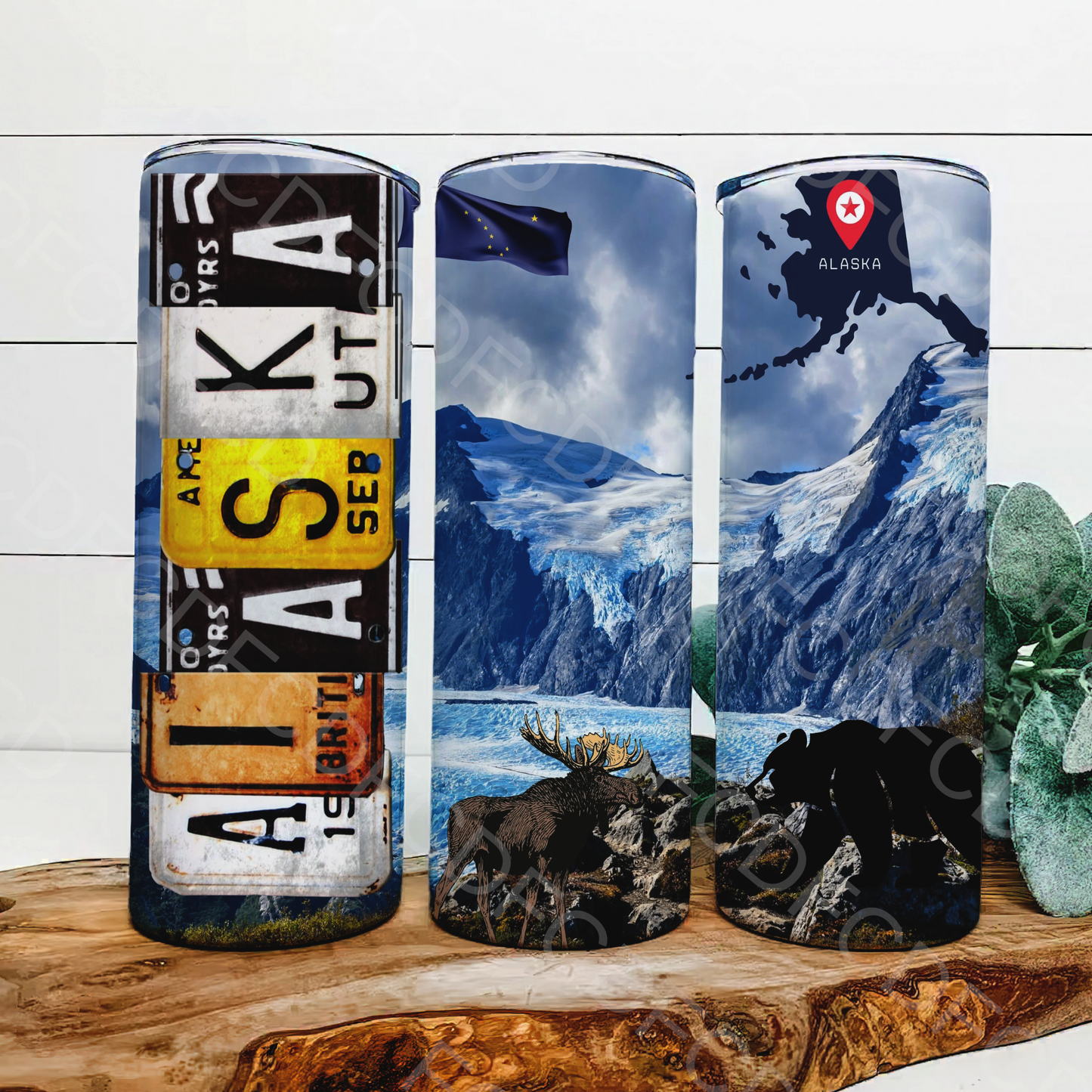 STATE LICENSE PLATES