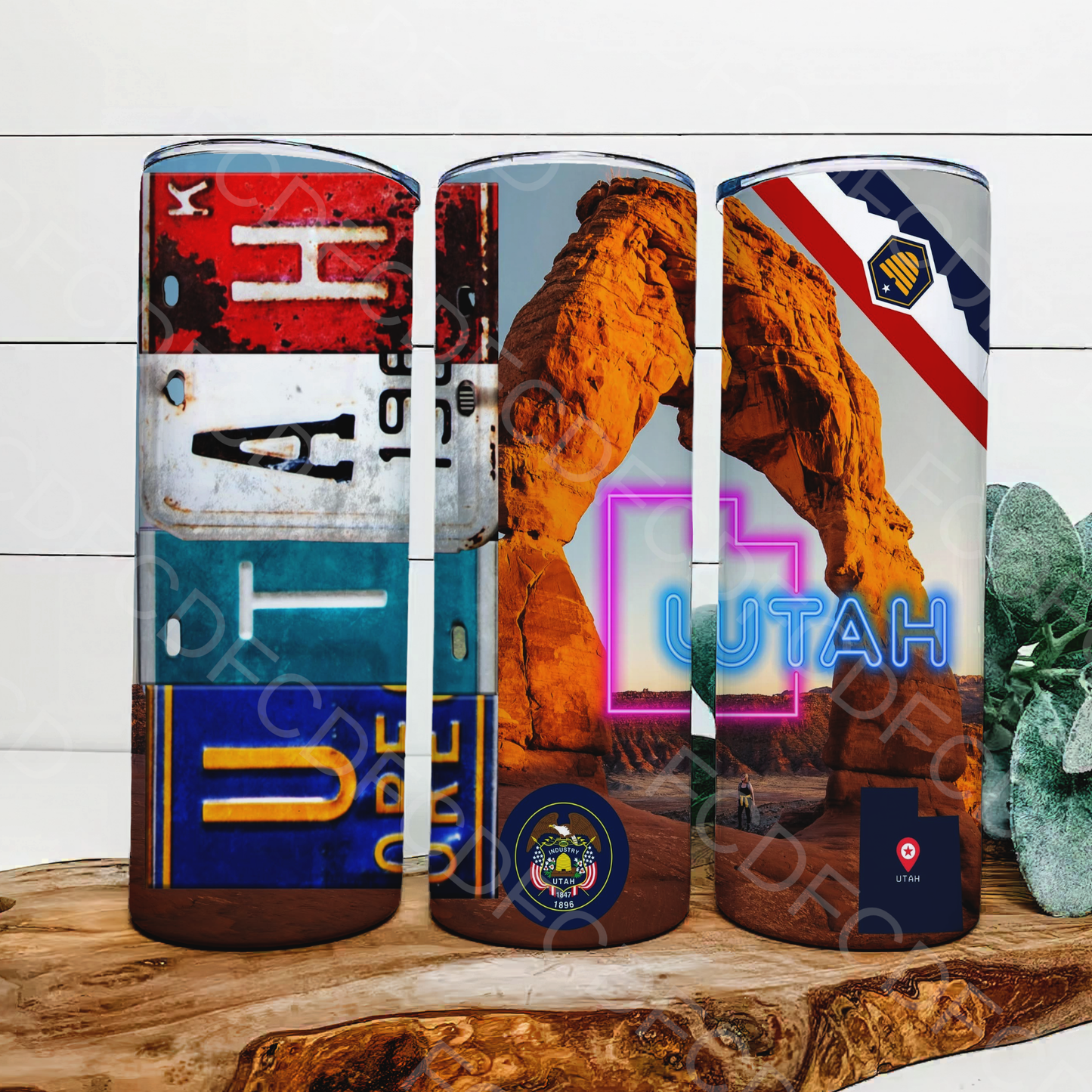 STATE LICENSE PLATES