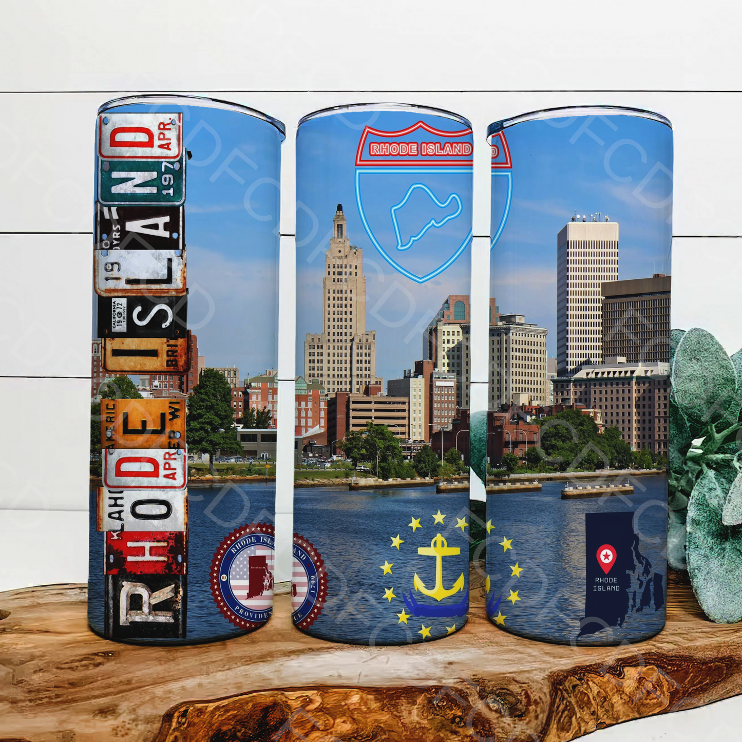 STATE LICENSE PLATES