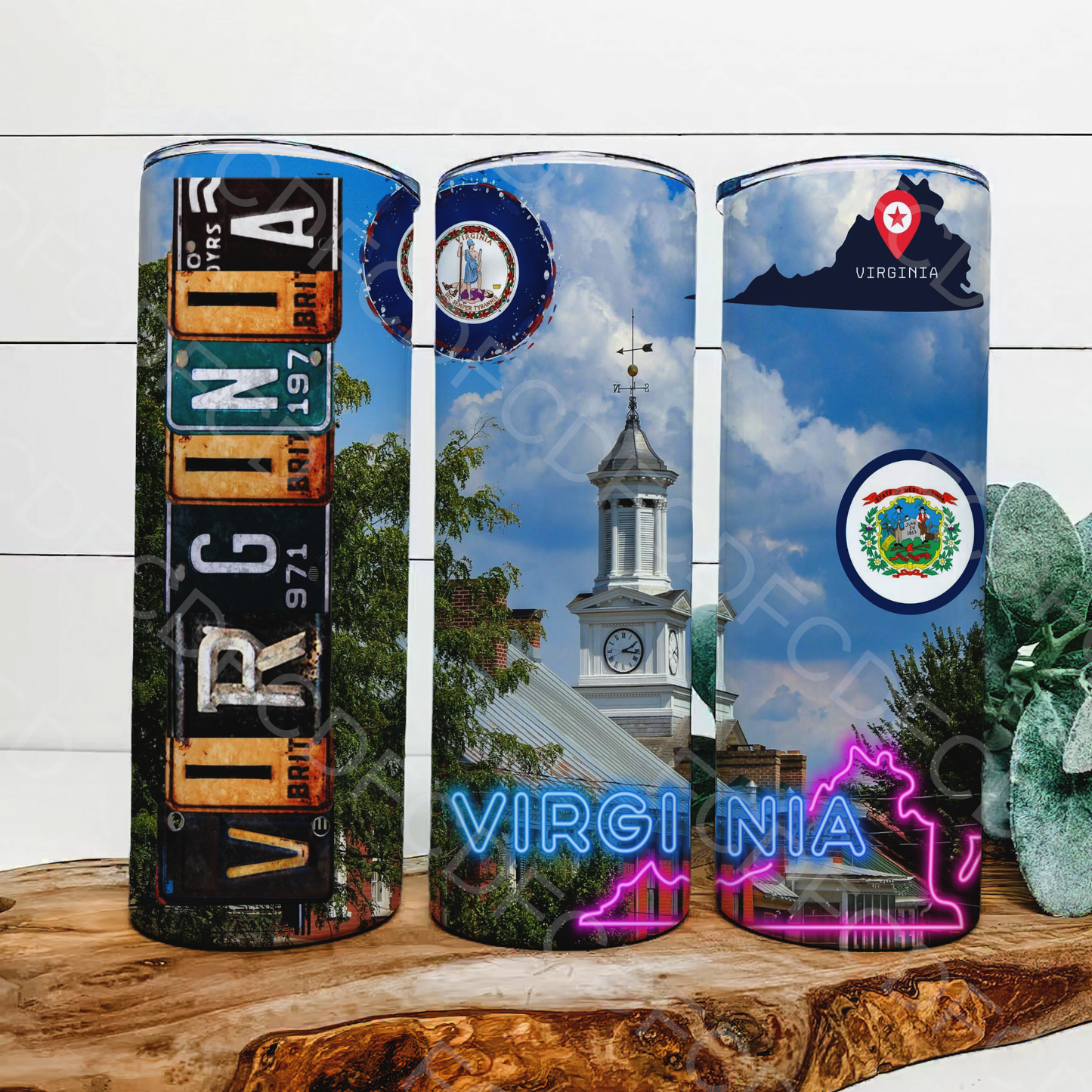 STATE LICENSE PLATES