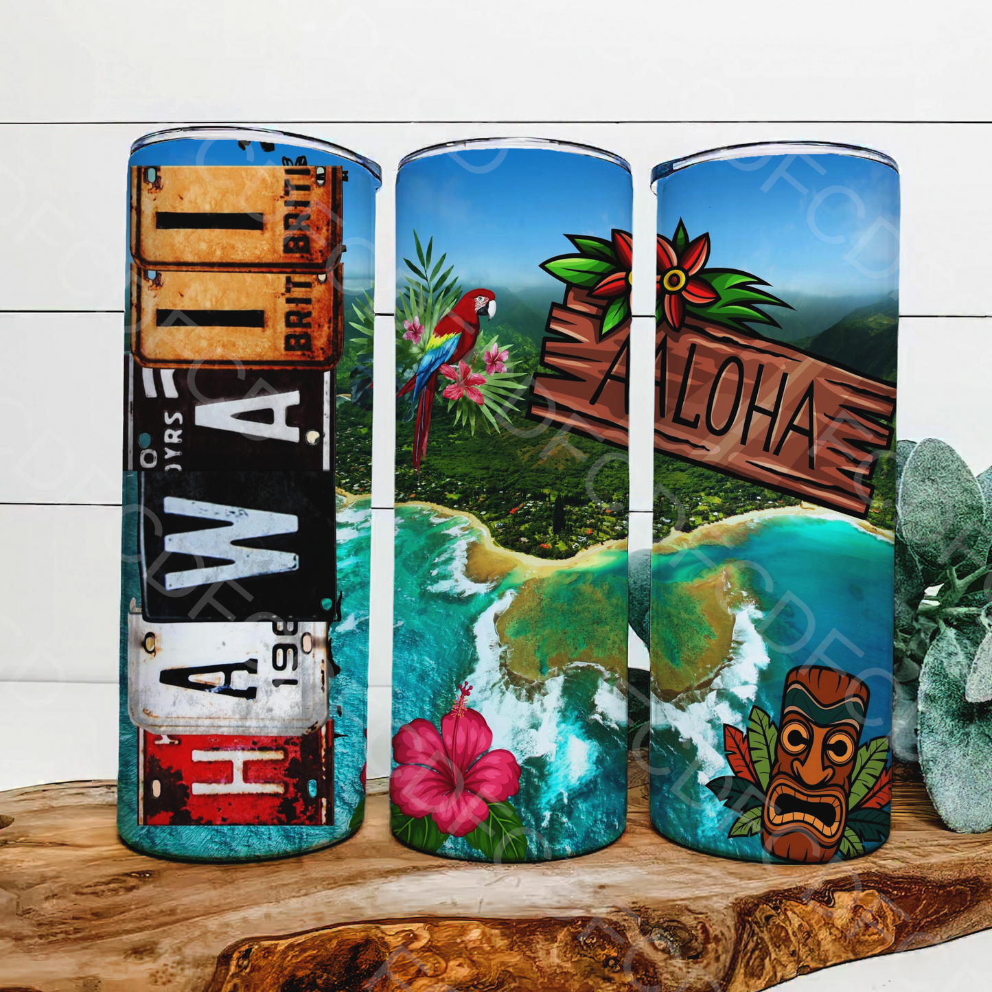 STATE LICENSE PLATES