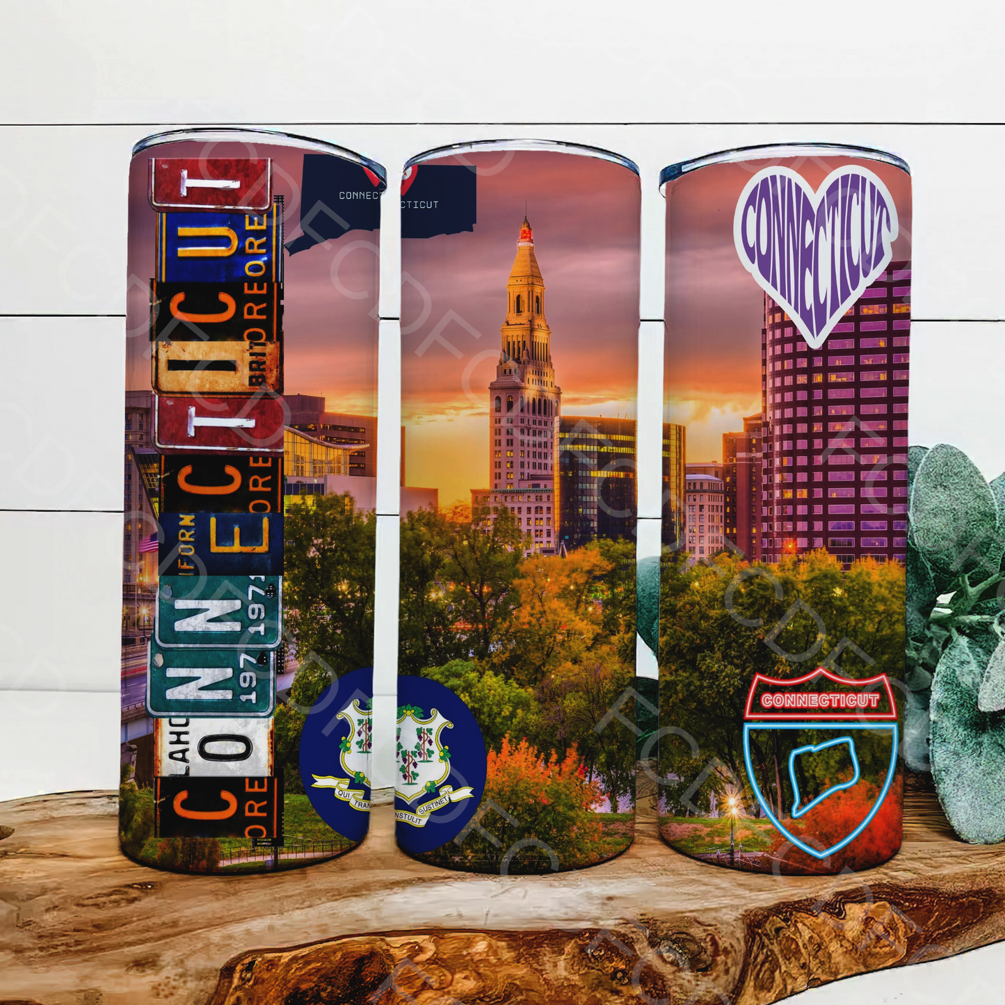 STATE LICENSE PLATES