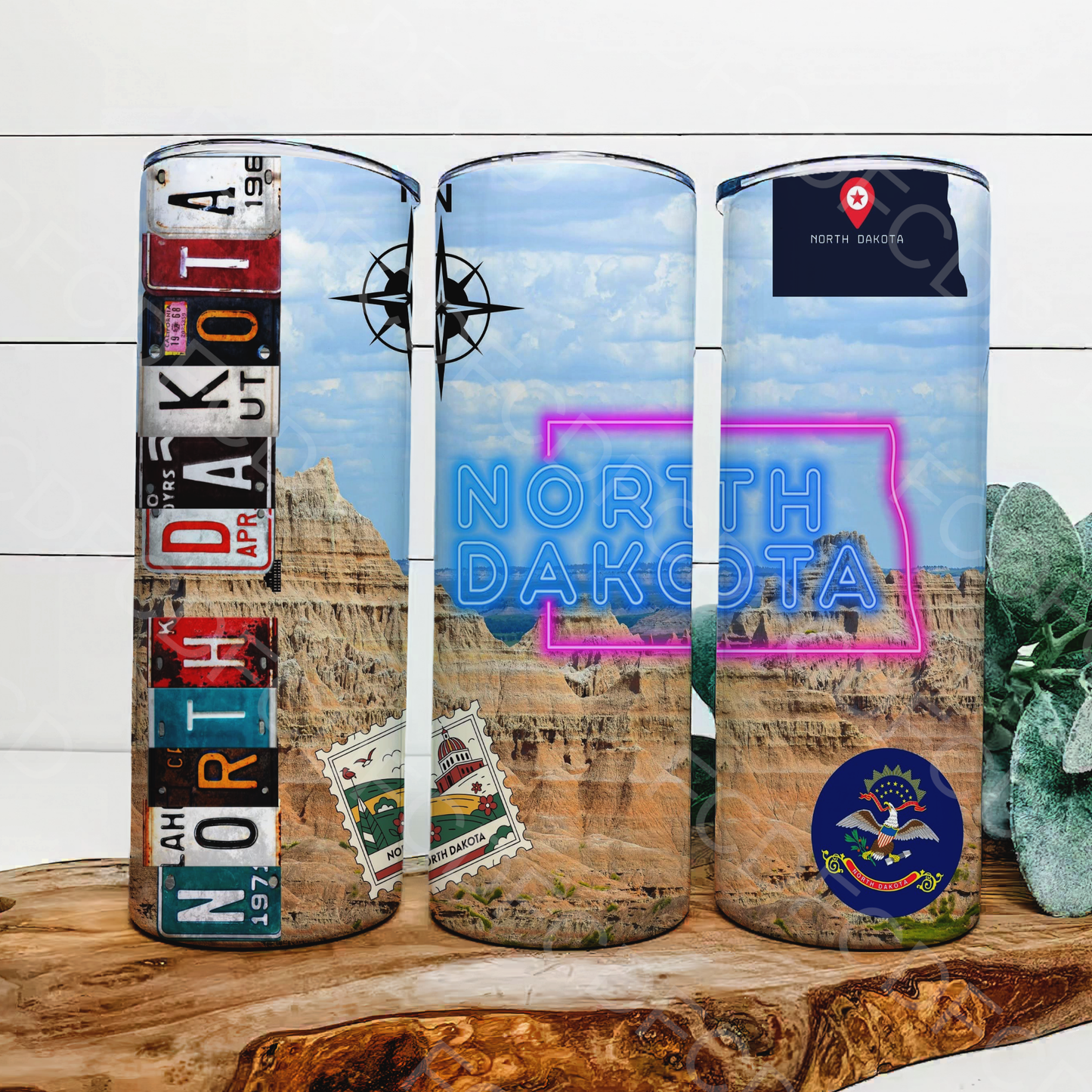 STATE LICENSE PLATES