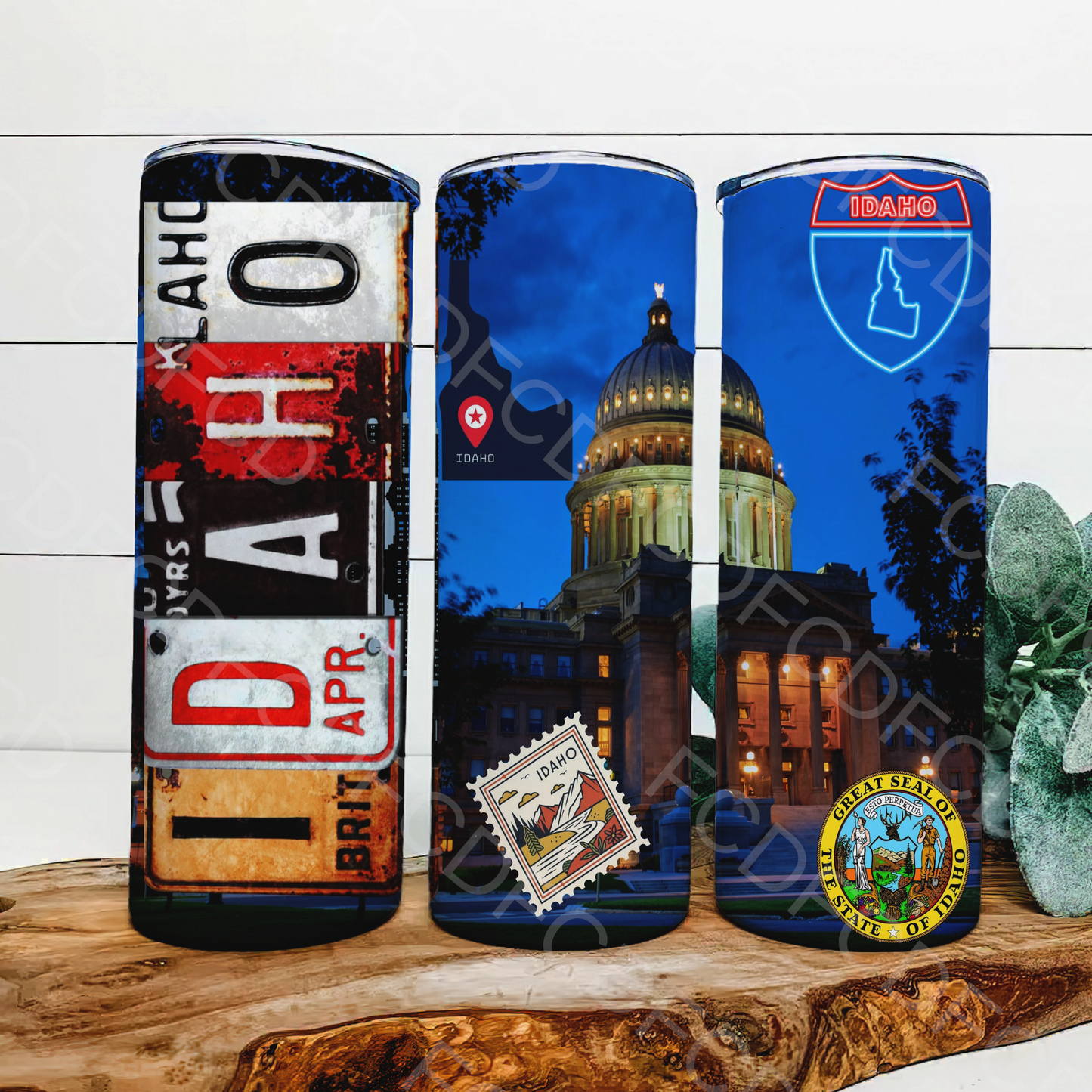 STATE LICENSE PLATES