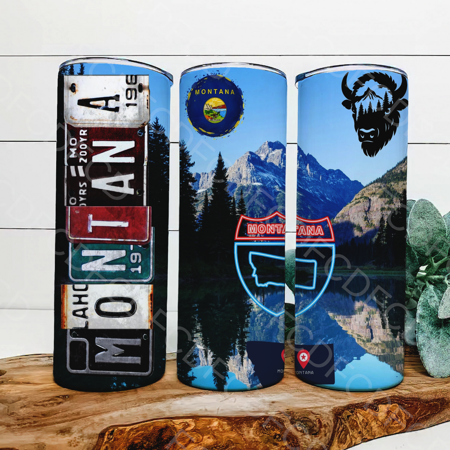 STATE LICENSE PLATES