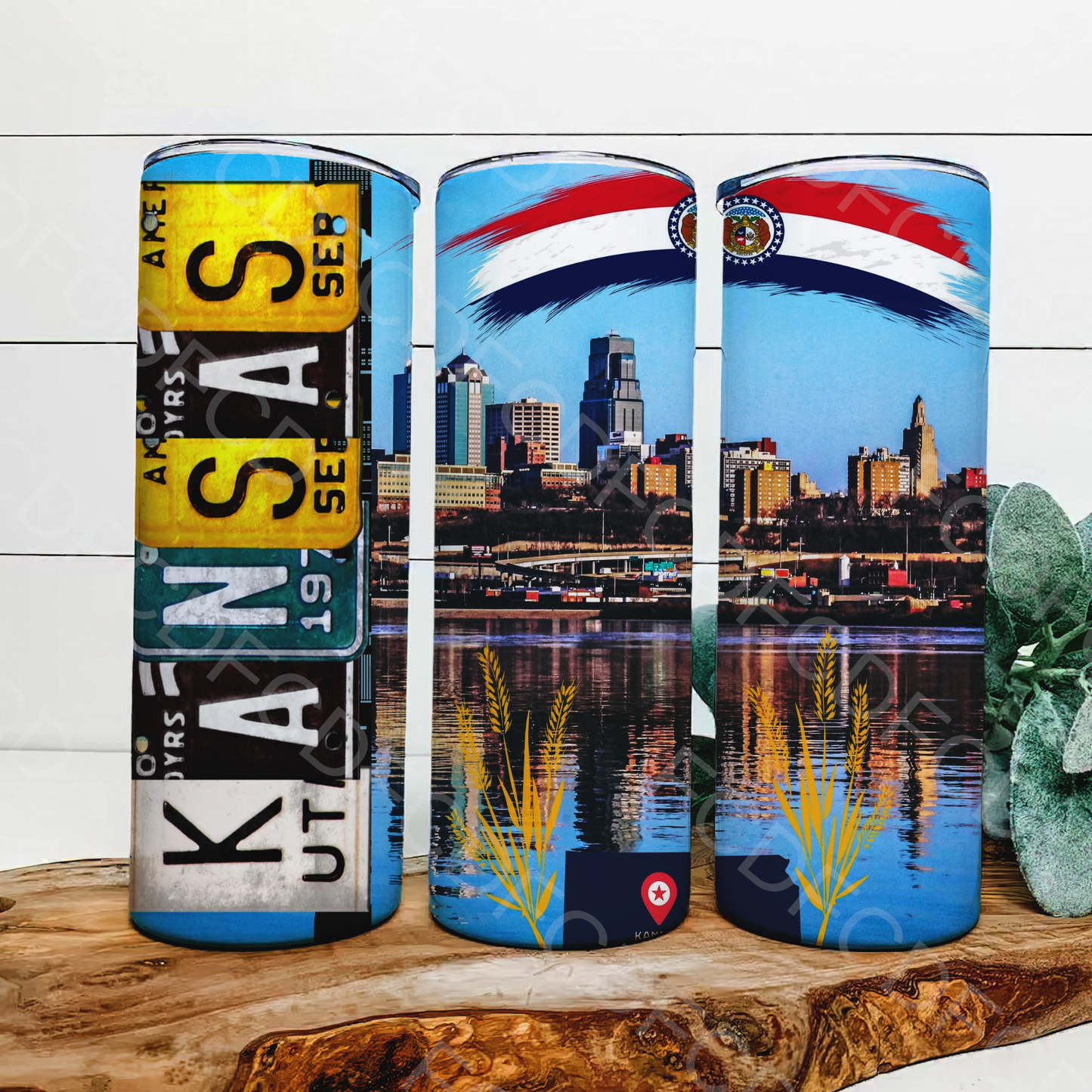 STATE LICENSE PLATES