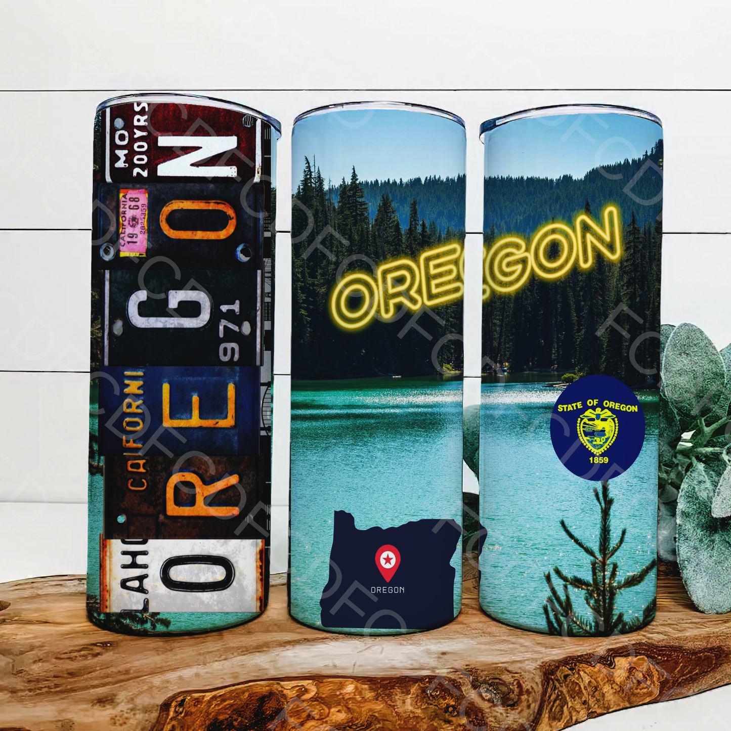 STATE LICENSE PLATES