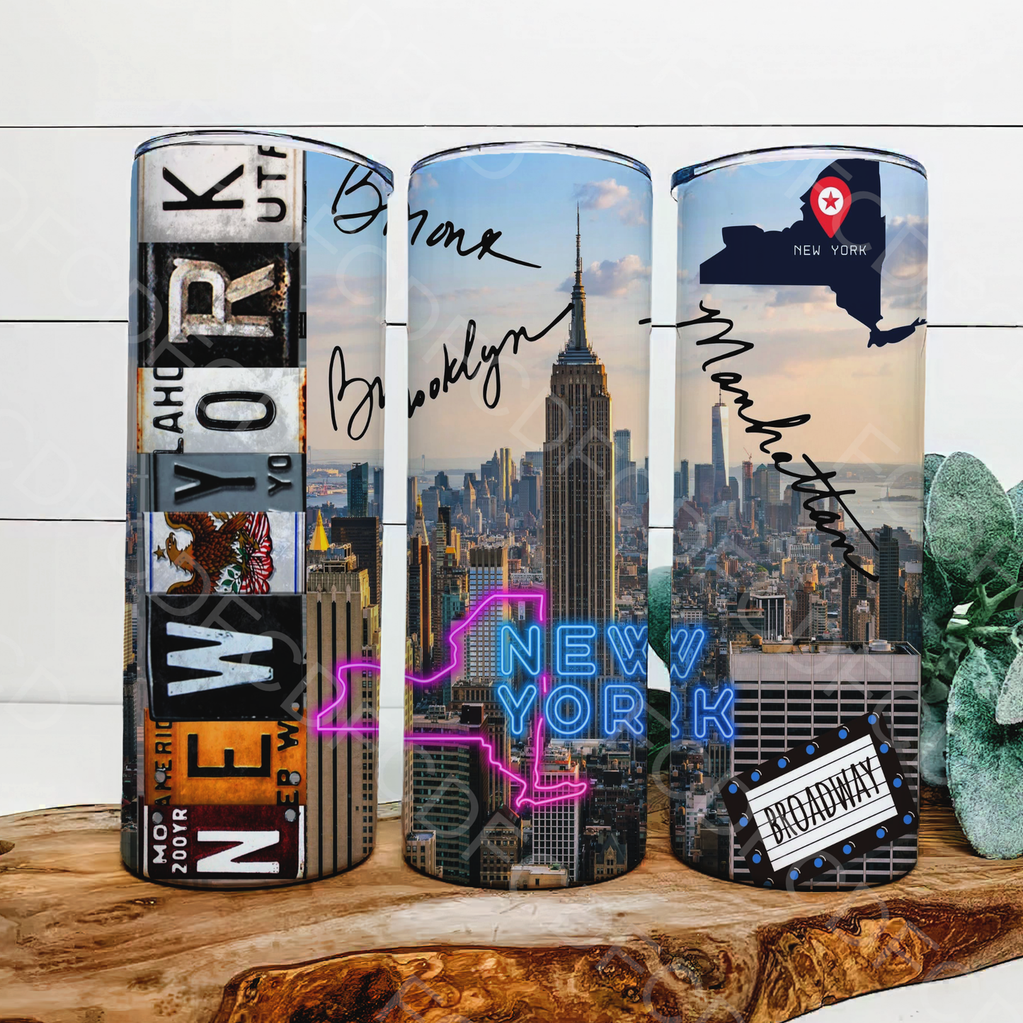 STATE LICENSE PLATES