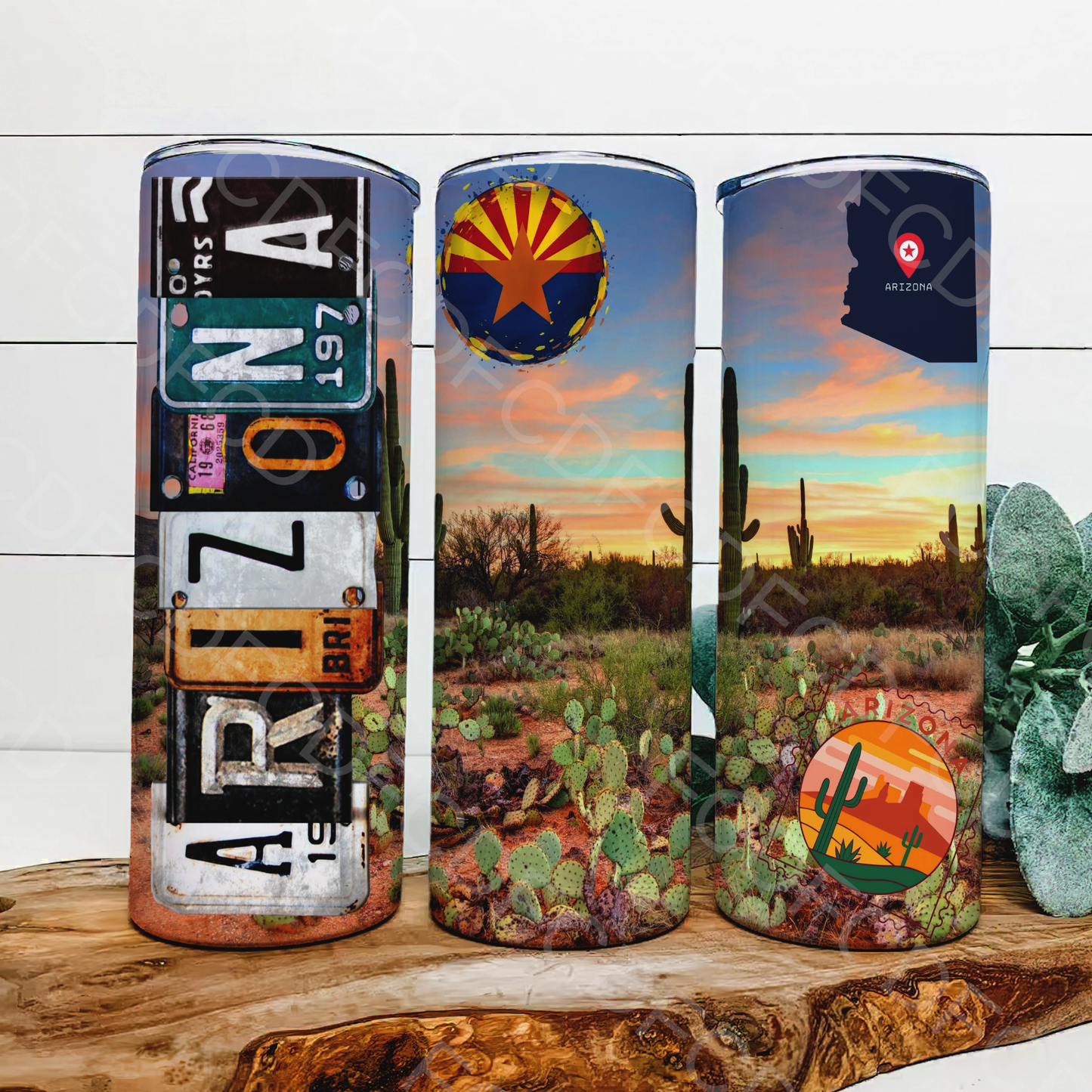 STATE LICENSE PLATES