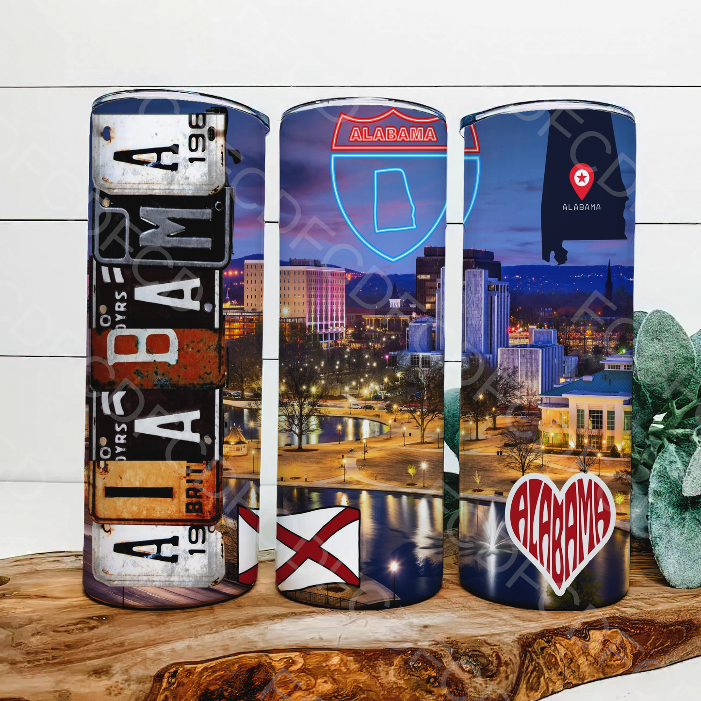 STATE LICENSE PLATES