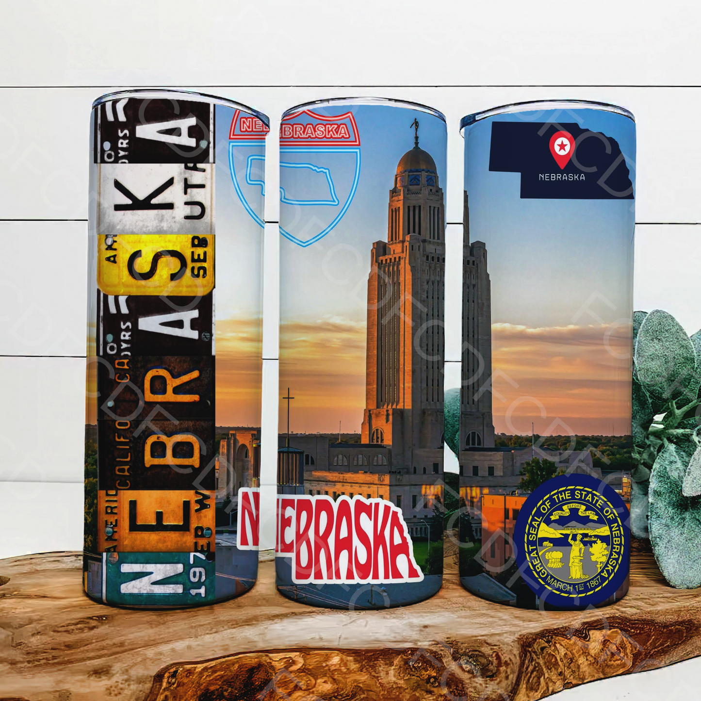 STATE LICENSE PLATES