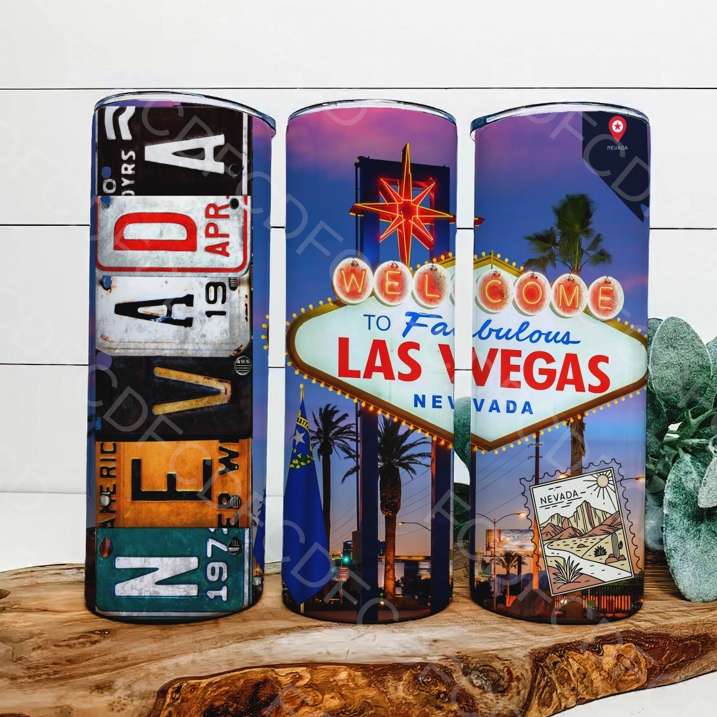 STATE LICENSE PLATES