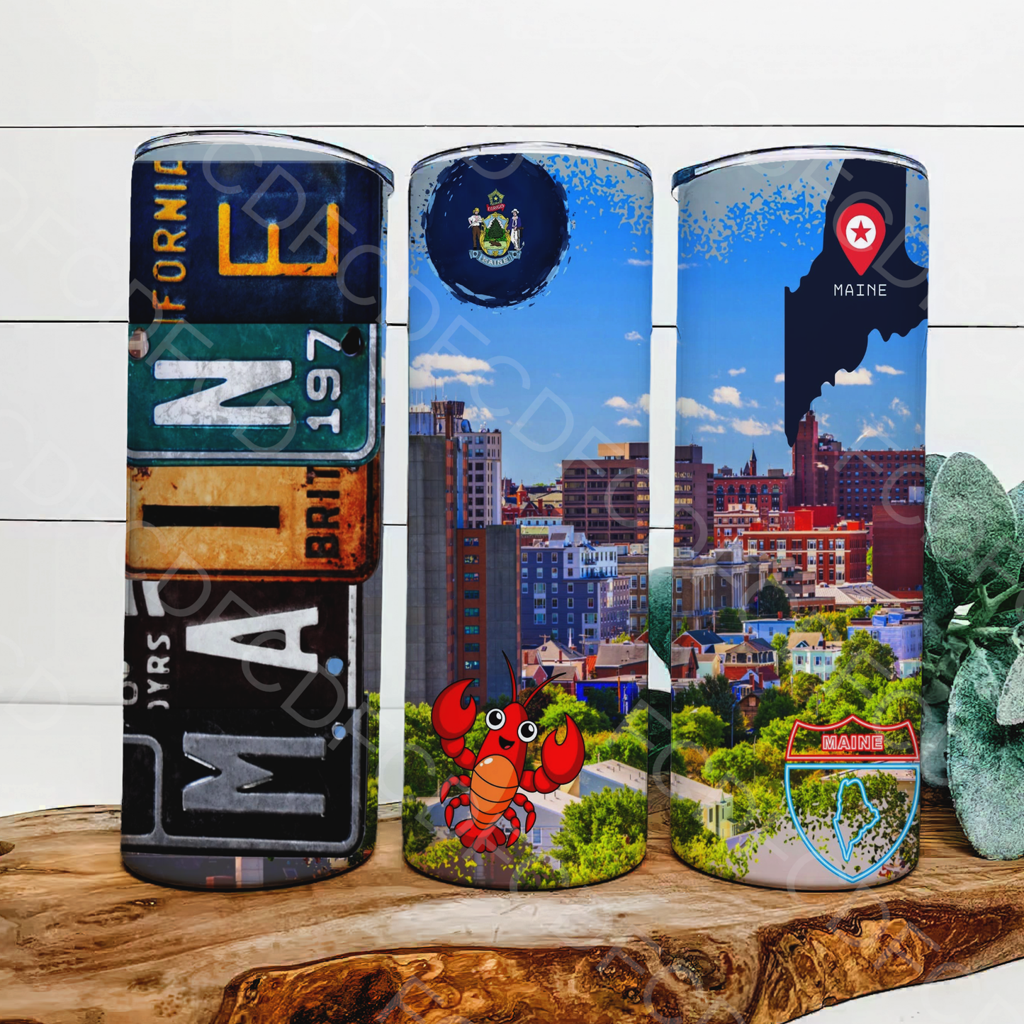 STATE LICENSE PLATES