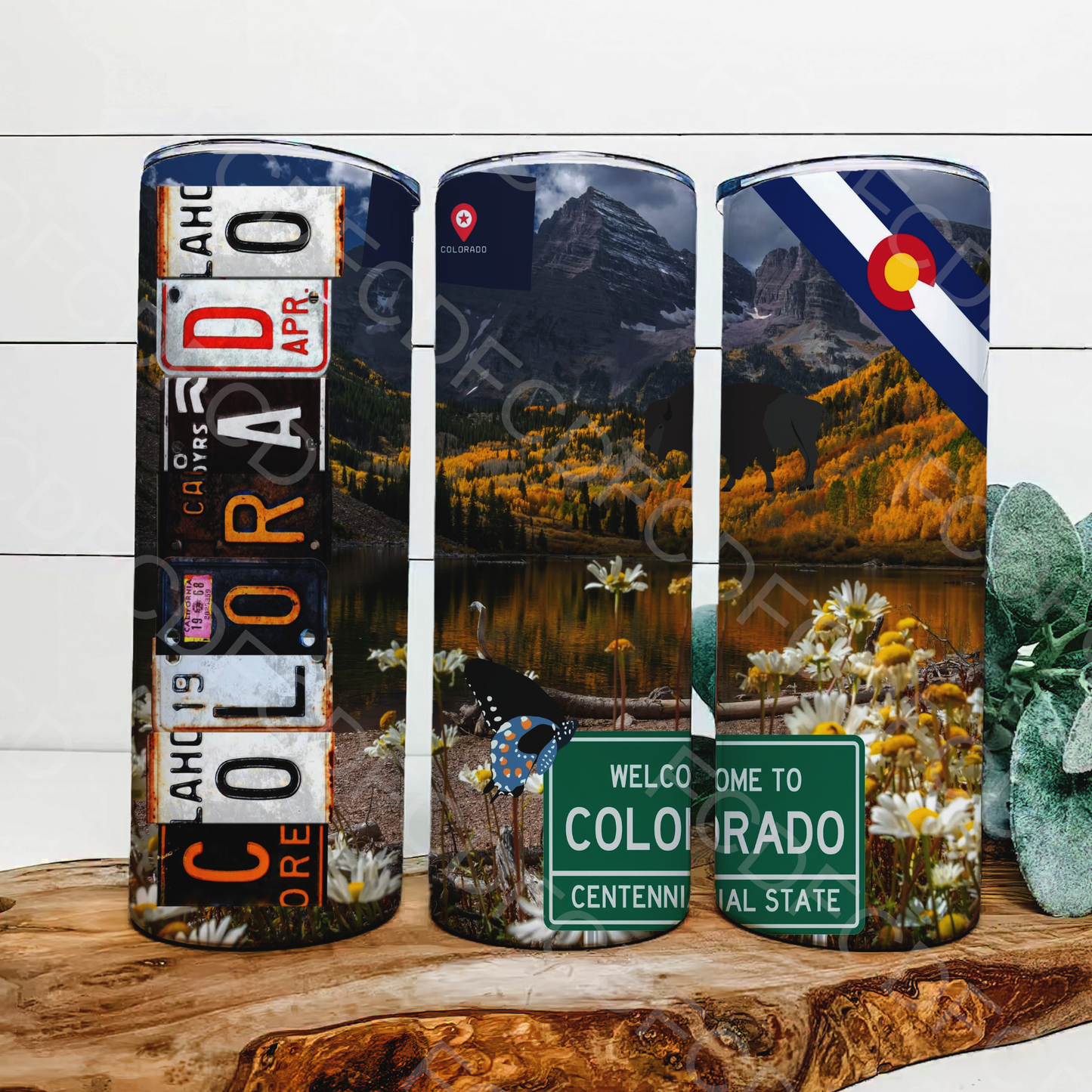 STATE LICENSE PLATES