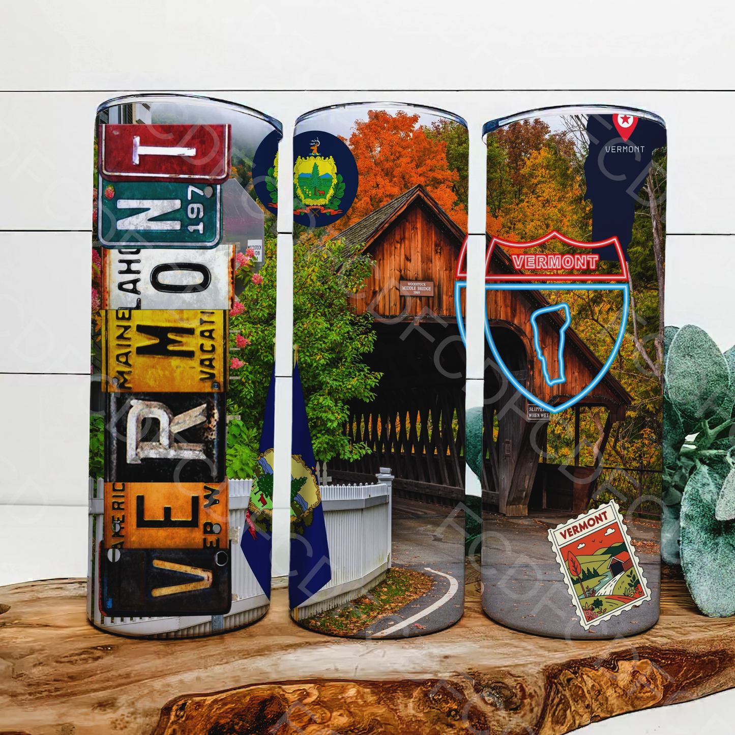 STATE LICENSE PLATES