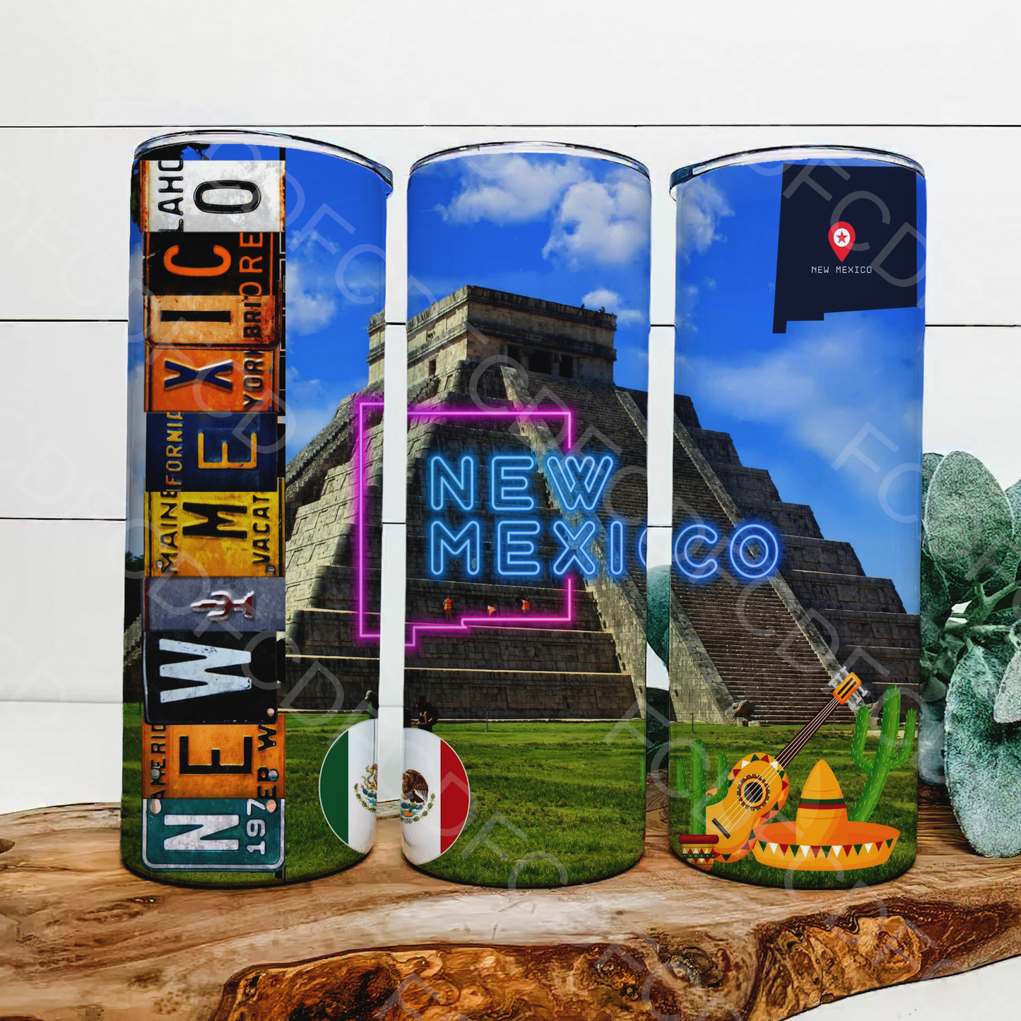 STATE LICENSE PLATES