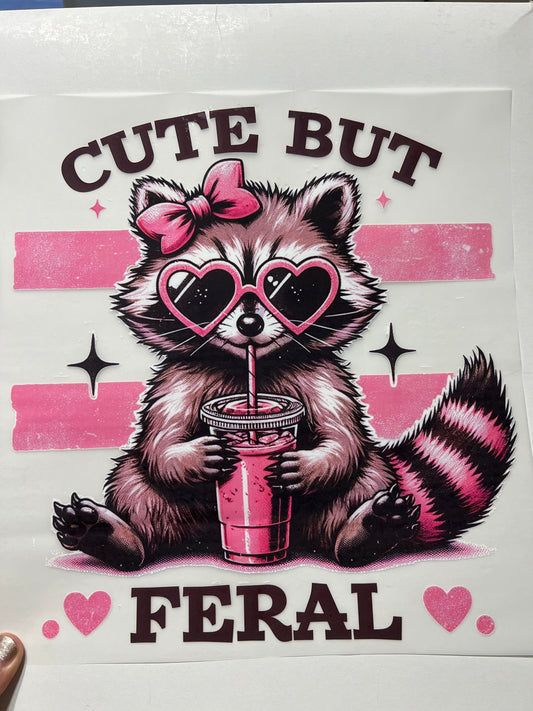 Cute/Feral