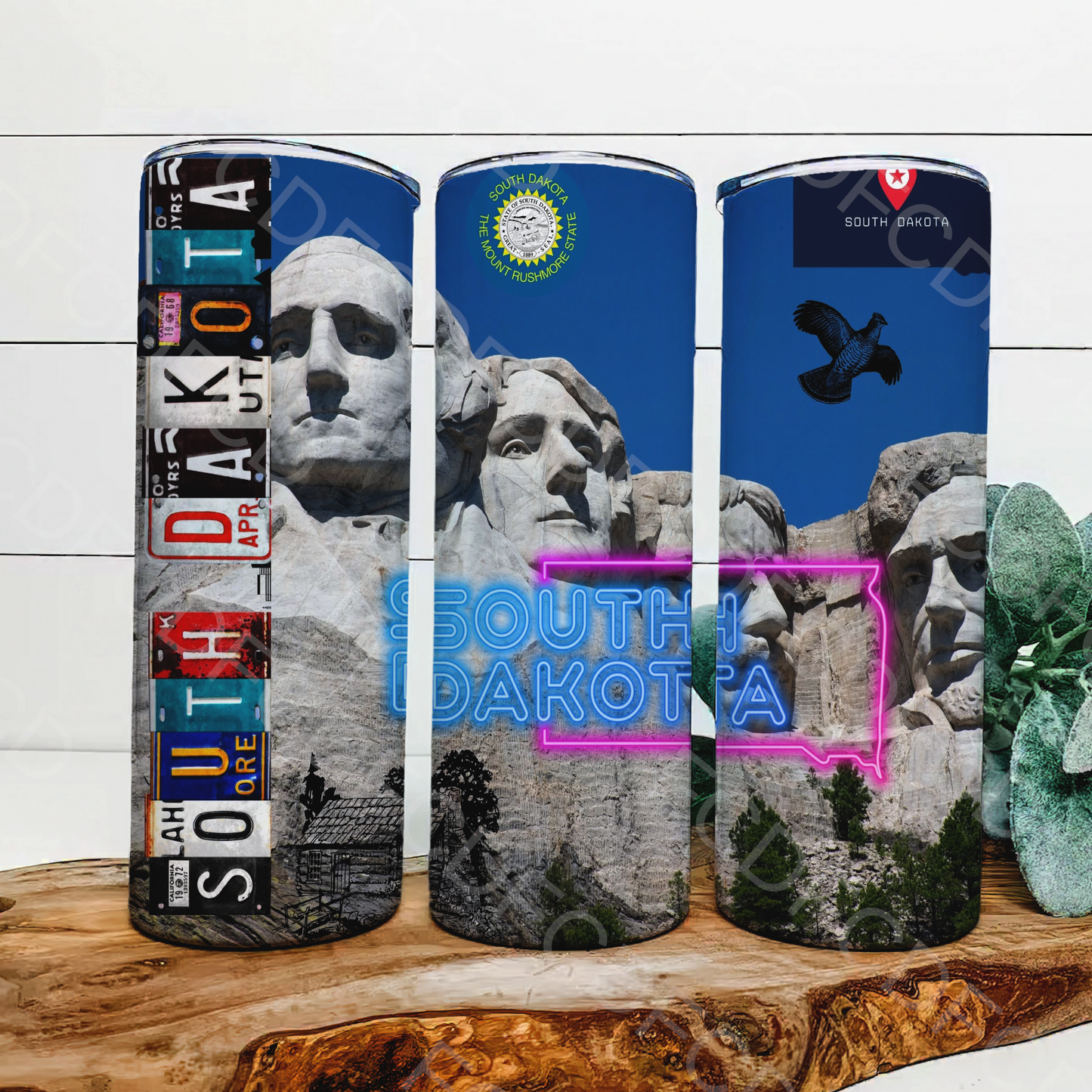 STATE LICENSE PLATES