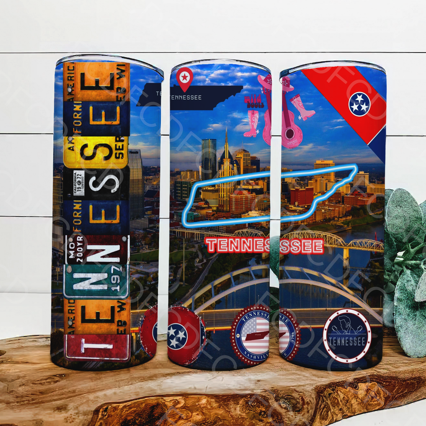 STATE LICENSE PLATES