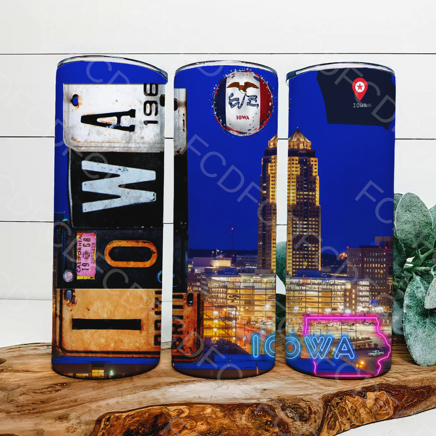 STATE LICENSE PLATES