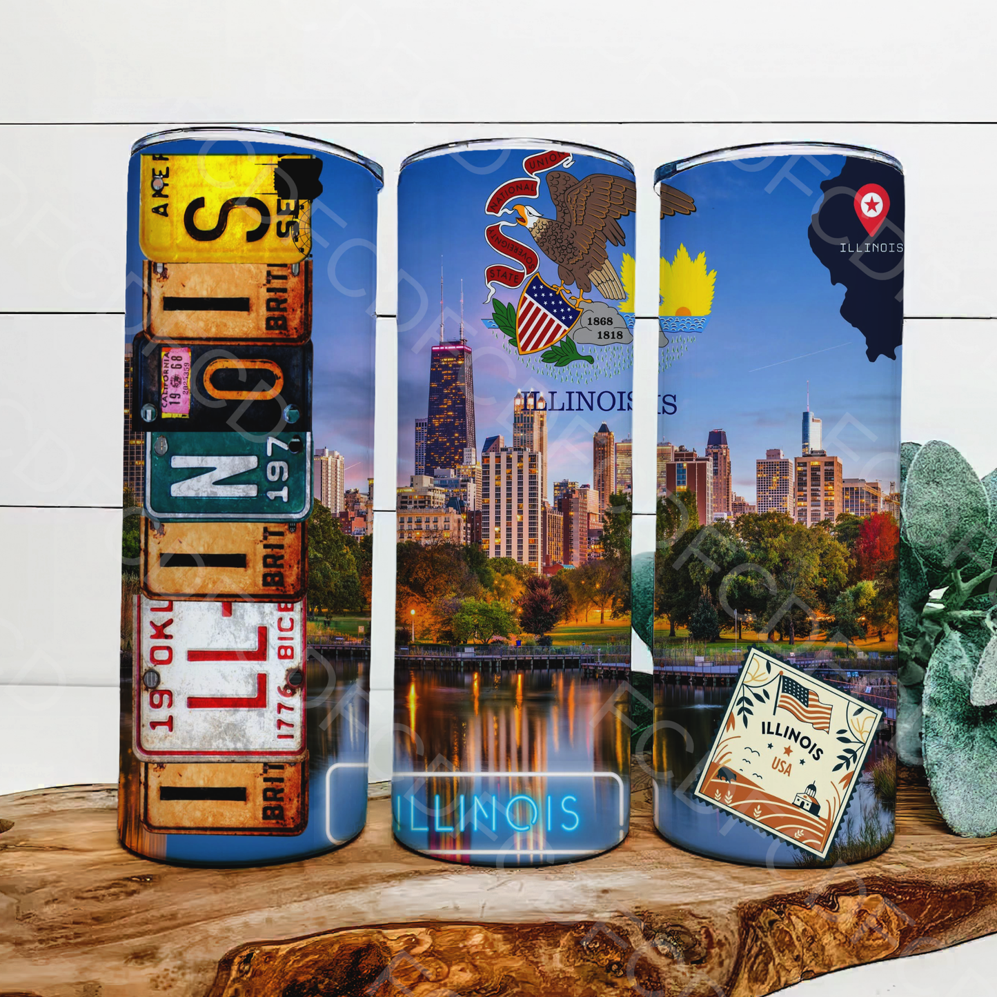 STATE LICENSE PLATES