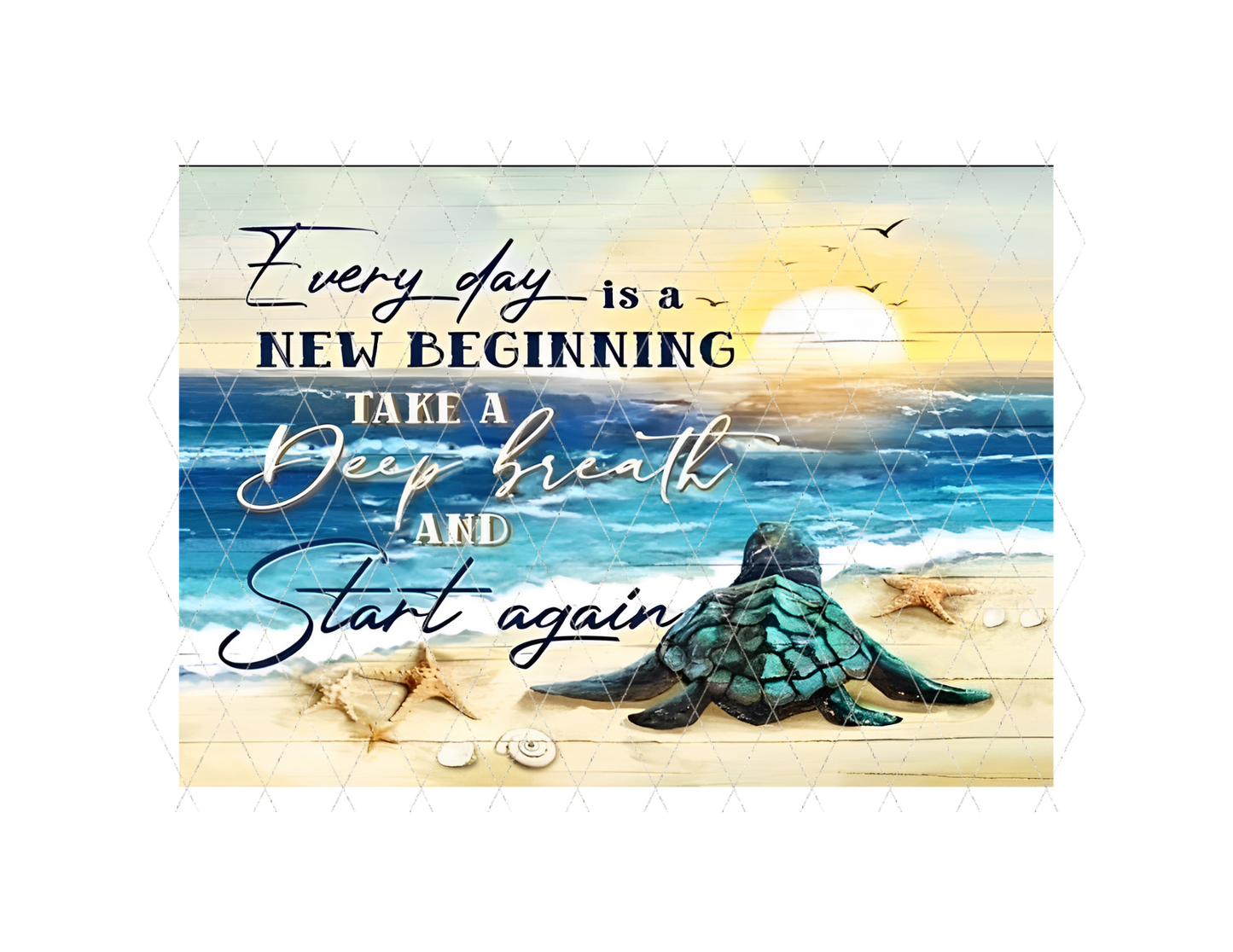 New beginnings CB