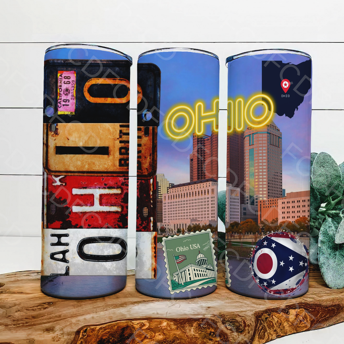 STATE LICENSE PLATES