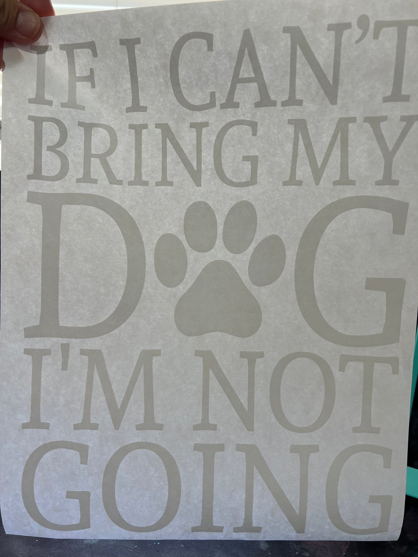 Can’t bring my dog