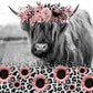 Highland Cow